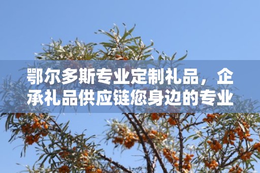 鄂尔多斯专业定制礼品，企承礼品供应链您身边的专业礼品定制公司